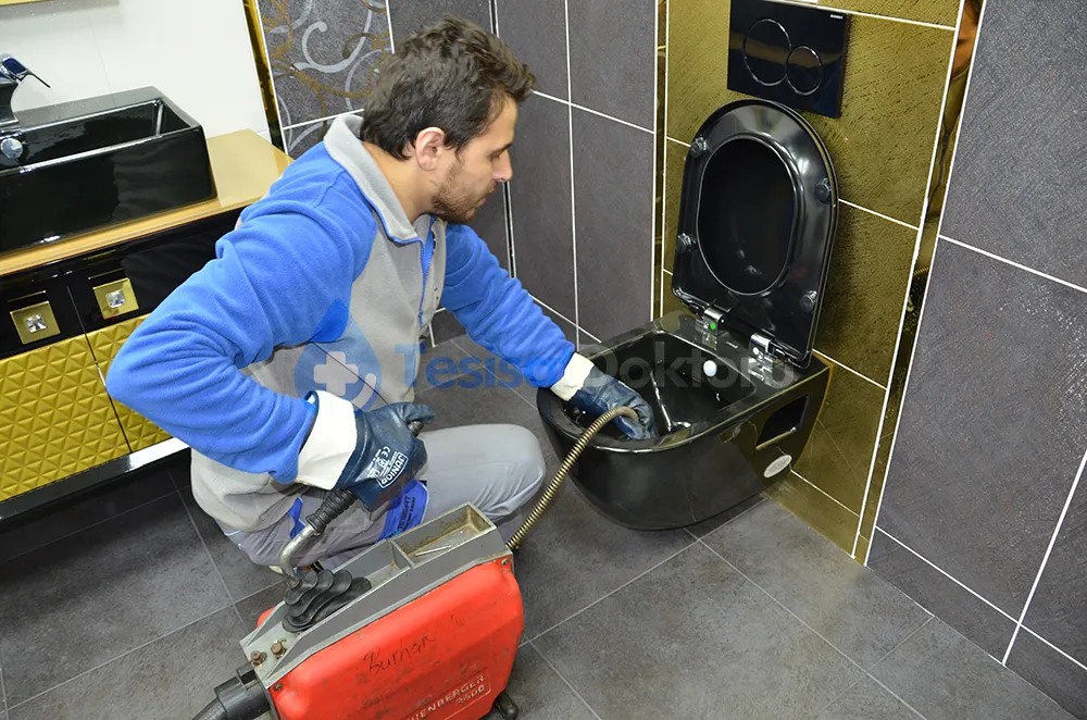 İstanbul Tuvalet Tıkanıklığı