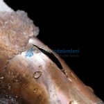 cam balkonda kombi donar mı